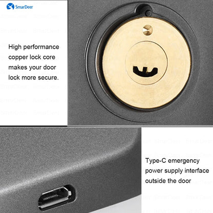 SmarDeer Waterproof Eletronic Lock for Tuya Smart Lock Outdoor Fingerprint Lock withl Password Remote App Waterproof door lock